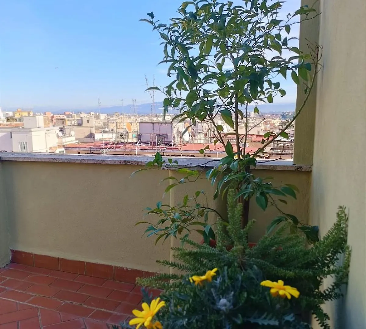 Attico Roma Di Luce Apartment